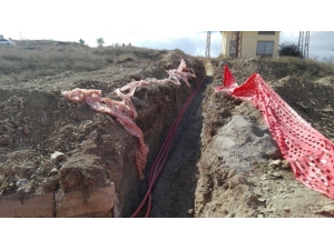 Yer Altına Döşenen Elektrik Kablolarını Çaldılar