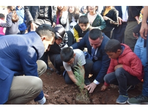 Yeşil Bağlar İçin Çalışmalar Devam Ediyor