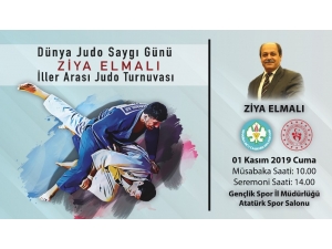 Ziya Elmalı, Turnuvayla Anılacak