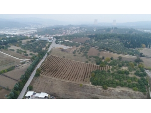 Dublör Kullanıp 50 Milyon Liralık Arazilerini Elinden Aldılar