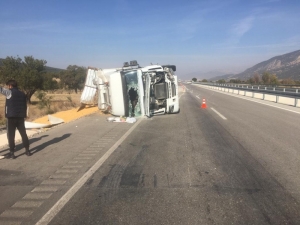 Mısır Yüklü Tır Devrildi, Kasadaki Hububat Etrafa Saçıldı: 1 Yaralı