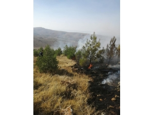 Anız Yangınından Alevler Ormanlık Alana Sıçradı