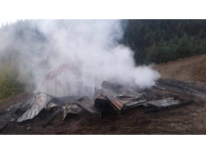 Çatalzeytin’de Ev Yangını