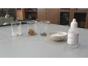 3 Ayda İçerisinde Kendini Yok Eden Poşet Ürettiler