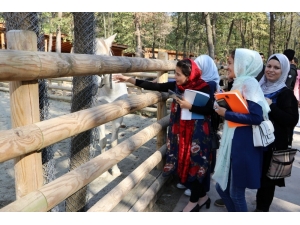 Uluslararası Öğrenciler ’Gez Gör’le İzmit’i Gezdi