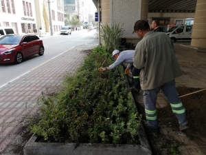 Körfez’de Çevre Düzenlemeleri Devam Ediyor