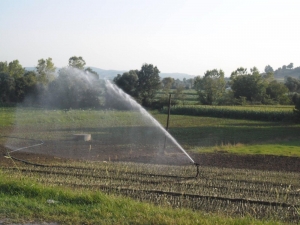 Kocaeli Tarımından Ülke Ekonomisine 9 Milyon 888 Bin Tl’lik Katkı