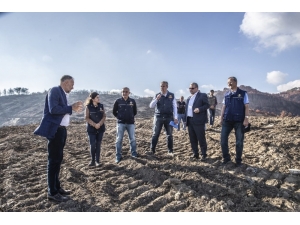 Yangın Bölgesine İlk Fidanlar 11 Kasım’da