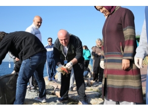 Başkan Bıyık, Öğrencilerle Kıyı Temizliği Yaptı