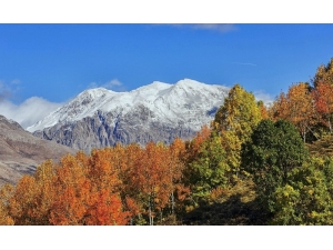Pülümür Ve Ovacık’a Mevsimin İlk Karı Yağdı