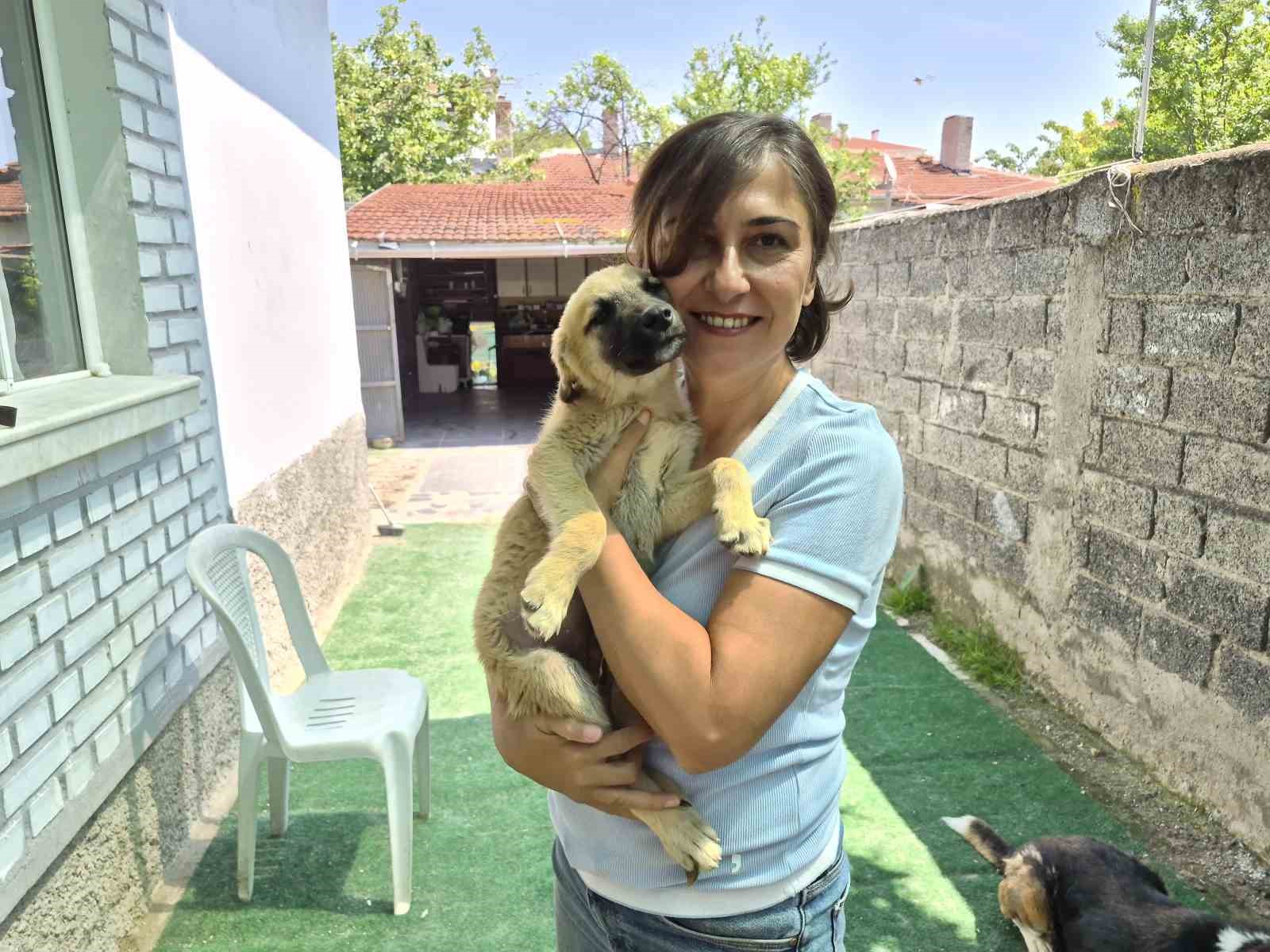 iki-gonullunun-sefkat-eli-yuzlerce-sokak-hayvanina-ulasiyor
