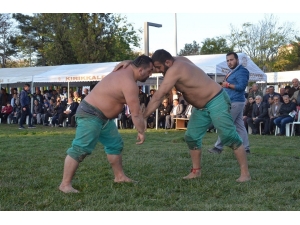 Kırıkkale’de Karakucak Güreş Müsabakaları Yapıldı