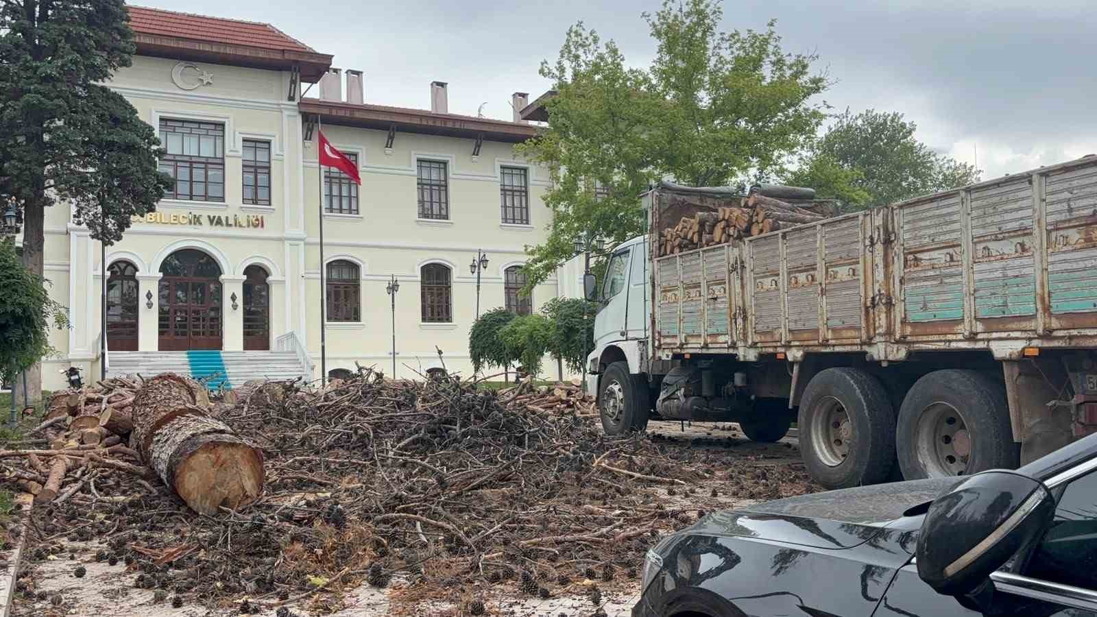 bilecik-valiligi-bahcesindeki-dev-cam-agaclari-kesildi