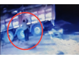 Üzerine Kamyondan Tomruk Düşen Şoför Hayatını Kaybetti