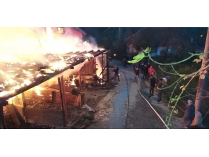 Ahırda Çıkan Yangında 1 Büyükbaş Hayvan Telef Oldu