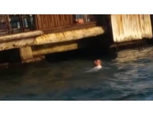 Beşiktaş’ta Durağa Daldıktan Sonra Denize Atlayan Şoför Böyle Kurtarıldı