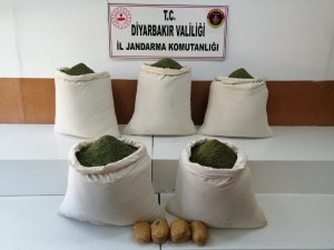 Diyarbakır’da 220 Kilogram Esrar Ele Geçirildi
