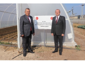 Matlı: "Bursa E Tipi Cezaevinde Tarım İş Kolu Açıldı"