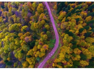 Ordu’da Sonbaharda Renk Cümbüşü