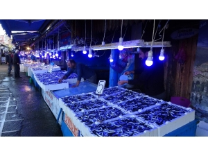 Hamsi Tezgahları Süslüyor