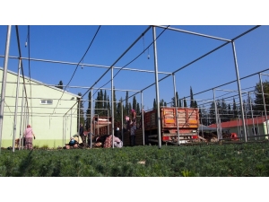 2023 Noktada, 11 Milyon Fidanla Geleceğe Nefes