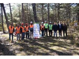 Ormancılık İş Koluna Mesleki Yeterlilik Belgesi Şartı Getirildi