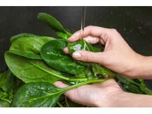 Tek Tehlike Ispanak Değil