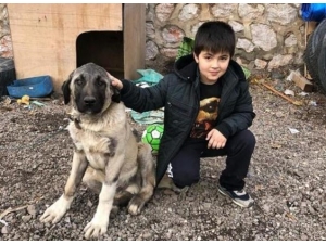 Top Oynarken Fenalaşan 7 Yaşındaki Çocuk Hayatını Kaybetti