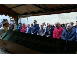 Erzincan’da Ağaçtan Düşen 3 Çocuk Babası Hayatını Kaybetti