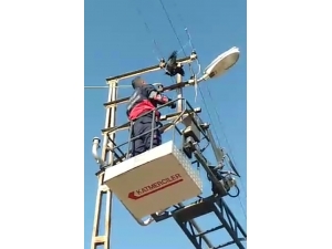 Elektrik Tellerine Takılan Karga’yı İtfaiye Ekipleri Kurtardı