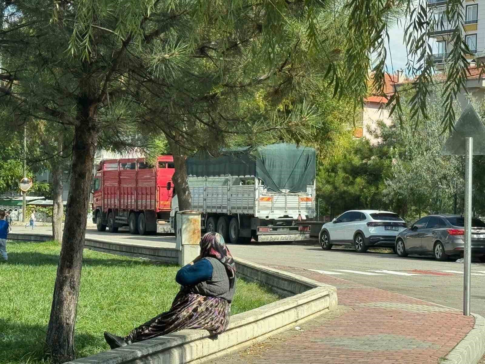 erol-dan-mahalle-aralarina-park-eden-tir-ve-kamyon-suruculerine-onemli-uyari