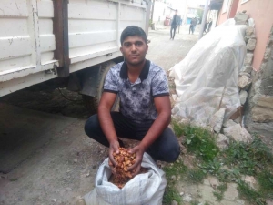 Elma Kurusu Fiyatları 4,5 Tl’ye Yükseldi