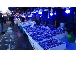 Hamsi Avındaki Bereket İhracat Rakamlarına Yansıdı