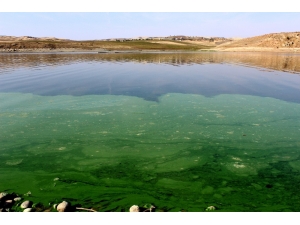 Atatürk Barajında Korkutan Görüntü