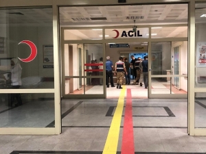 Bahçedeki Yılanı Öldüreyim Derken Tüfekle Annesini Yaraladı