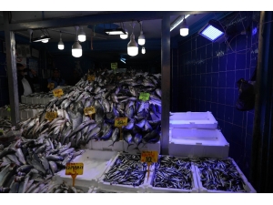 Balıkçıların Mavi Işık Hilesini Zabıta Engelledi