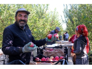 Van’ın Lezzetli Elmaları Kuzey Irak’a İhraç Ediliyor