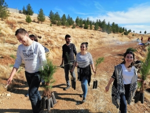 Dicle Elektrik Hatıra Ormanı’nda 300 Fidan Toprakla Buluştu