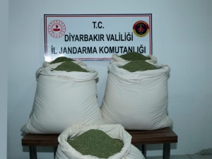 Öğrenci Servisinde 176 Kilogram Esrar Ele Geçirildi