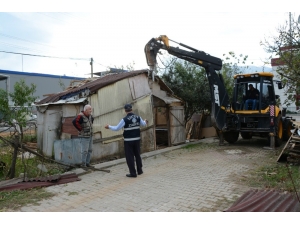 Kartepe’de Usulsüz Hayvan Barınakları Kaldırılıyor