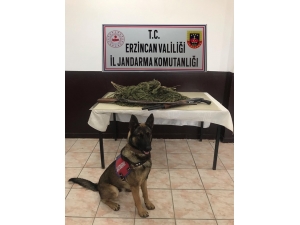 Erzincan’da 2 Kilo 400 Gram Kubar Esrar İle 2 Adet Av Tüfeği Ele Geçirildi