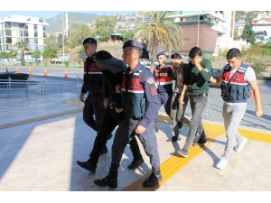 Bahçeden 30 Bin Lira Değerinde Avokado Çalan Şüpheliler Tutuklandı