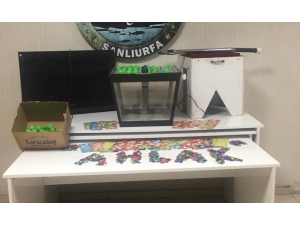 Şanlıurfa’da Kumar Operasyonu