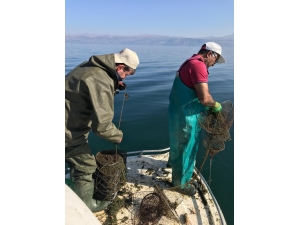 Eğirdir Gölü’ndeki 180 Sahipsiz Kerevit Pinterine El Konuldu