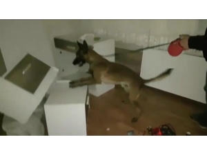 Elazığ’da Uyuşturucu Operasyonları: 2 Tutuklama