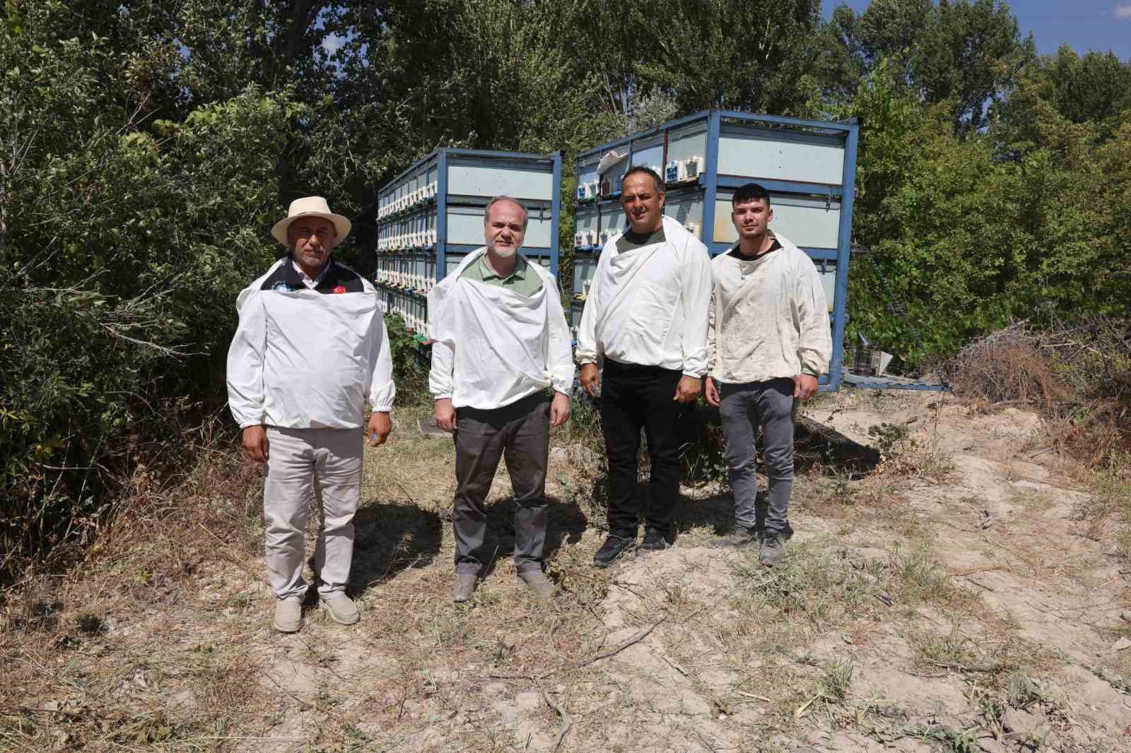 nohu-de-aricilikta-rekor-3-tona-yakin-bal-hasadi-gerceklestirildi
