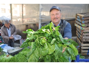 Organik Ispanak İlgi Görüyor