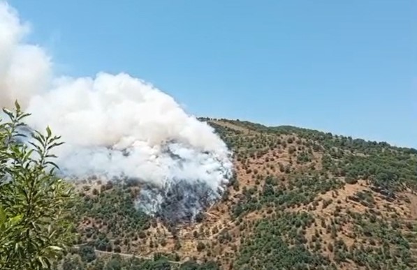 sultanhisar-da-makilik-ve-orman-yangini
