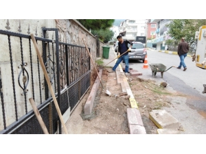 Körfez Belediyesi Çevre Çalışmalarını Sürdürüyor