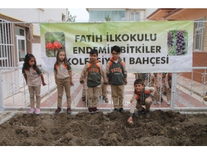 Minikler Endemik Bitki ‘Ters Lale’yi Yetiştirmek İçin Kolları Sıvadı